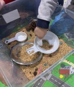 Bird Seed with added toys