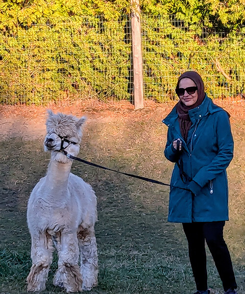 78ed9248 504d 4c62 a33b a9334c4d8cee1